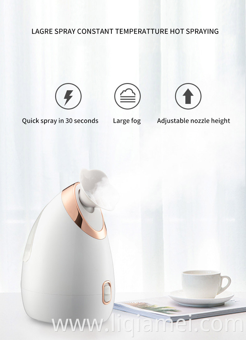 Sterilization Function Nano Facial Steamer